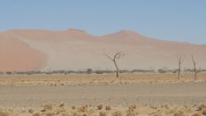 Namibia 4x4 Rentals | Deadvlei Sossusvlei Namibia